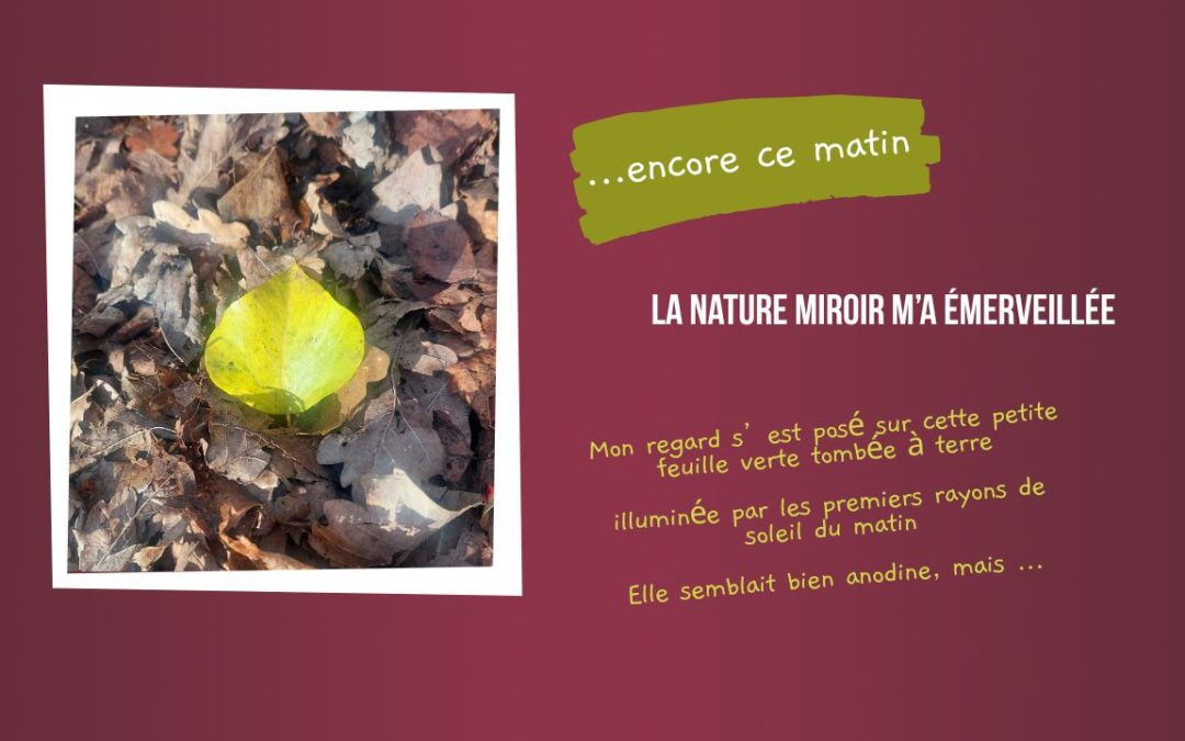 La nature miroir