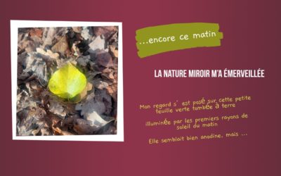 La nature miroir