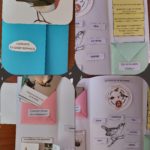 Lapbook