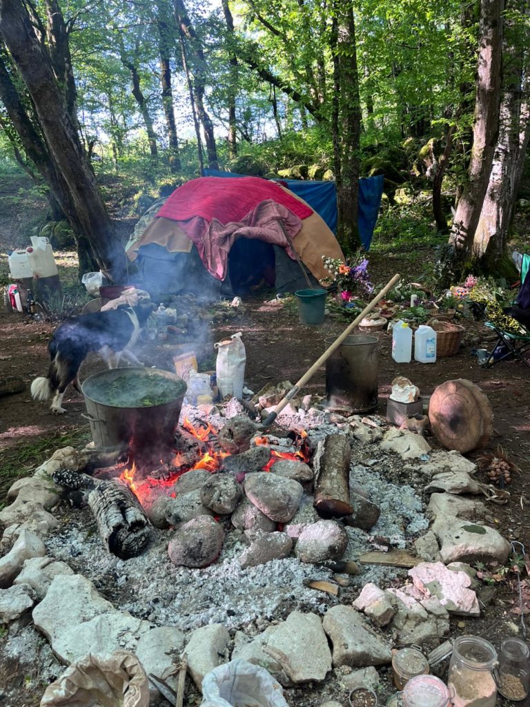 temazcal hutte a sudation