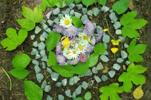 Relier_rituel_nature_sylvotherapie_parmesracines